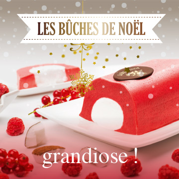 Un petit trésor de bûches glacées !